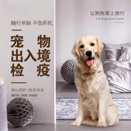 泰州市宠物托运到哥伦比亚猫狗宠物入境规定和