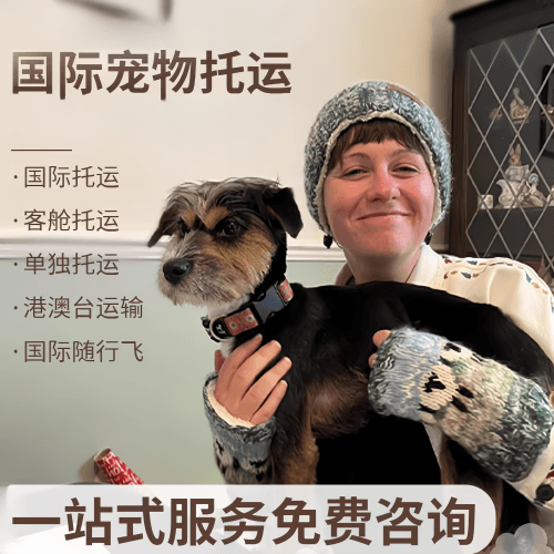 泰州市国际宠物托运到阿根廷宠物入境规定和要