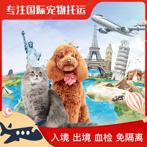 泰州市宠物托运到美国宠物入境最新规定和要求