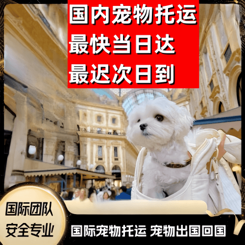 泰州市到澳大利亚（澳洲）宠物入境规定和要求