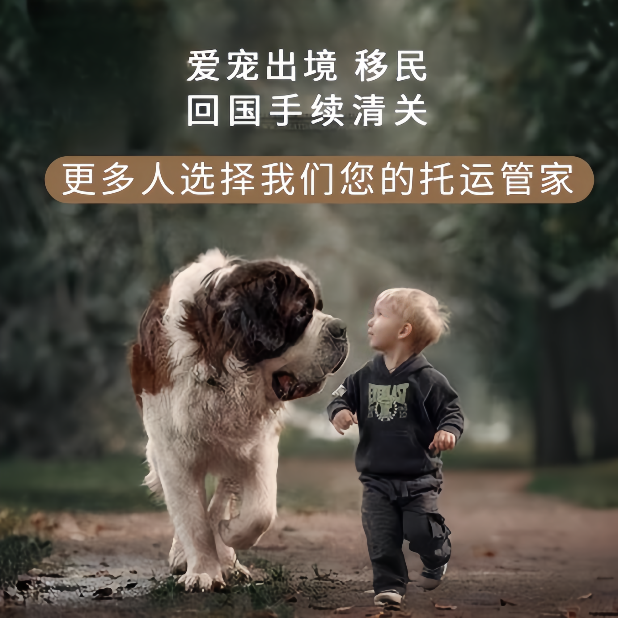 满财泰州市宠物全球达宠物托运在遵守入境目的地政策的条件