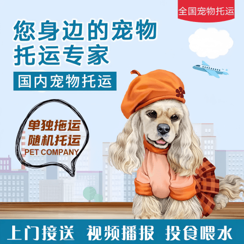 满财泰州市宠物全球达宠物托运作为专业的宠物运输代理机构
